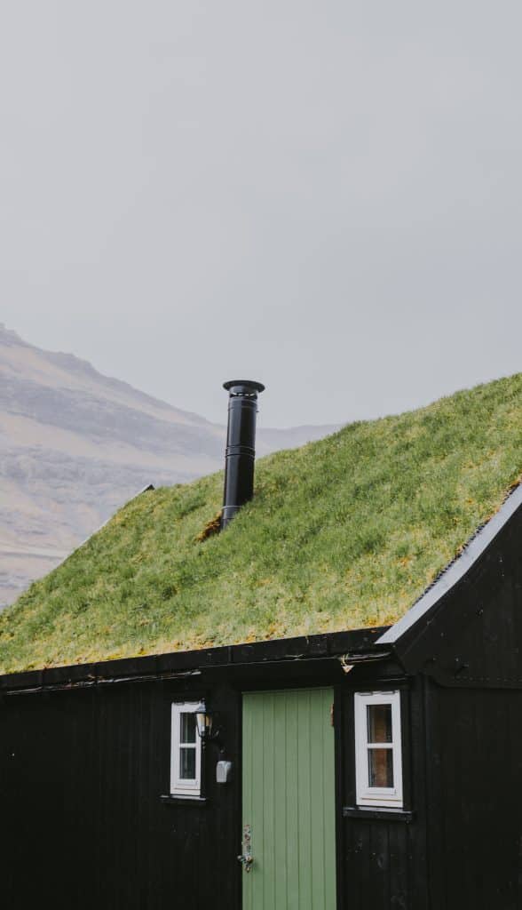 Green Roof: Discover the latest roofing trends for 2024: from what's in to what's out. Stay ahead of the curve with our expert insights.